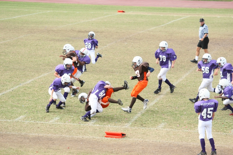 2008 PSLAA Ravens