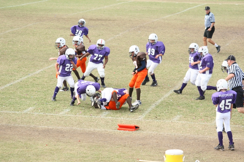 2008 PSLAA Ravens