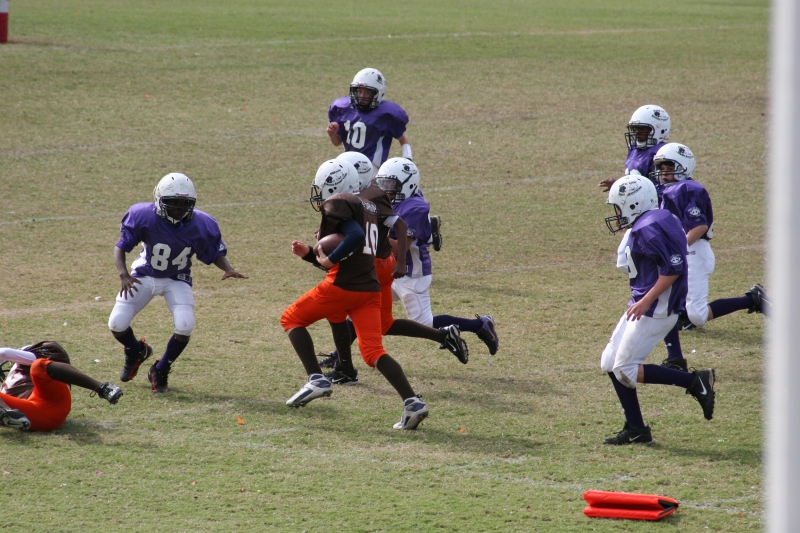 2008 PSLAA Ravens