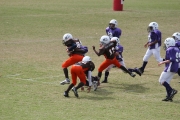 2008 PSLAA Ravens