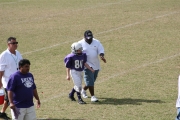 2008 PSLAA Ravens