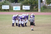 2008 PSLAA Ravens