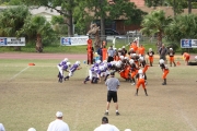 2008 PSLAA Ravens