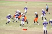 2008 PSLAA Ravens