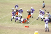 2008 PSLAA Ravens