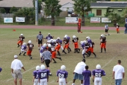 2008 PSLAA Ravens