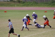 2008 PSLAA Ravens