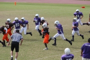 2008 PSLAA Ravens