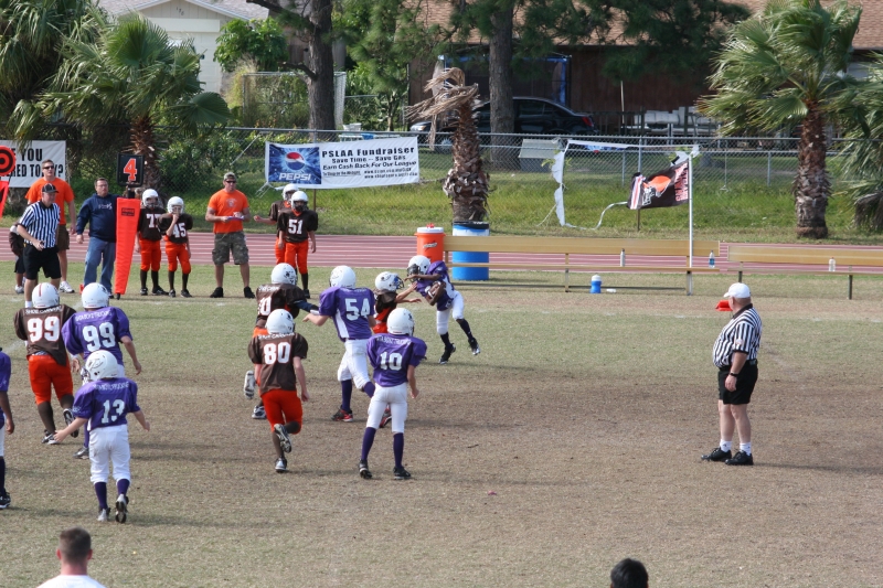 2008 PSLAA Ravens