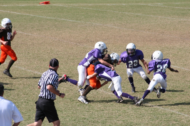 2008 PSLAA Ravens