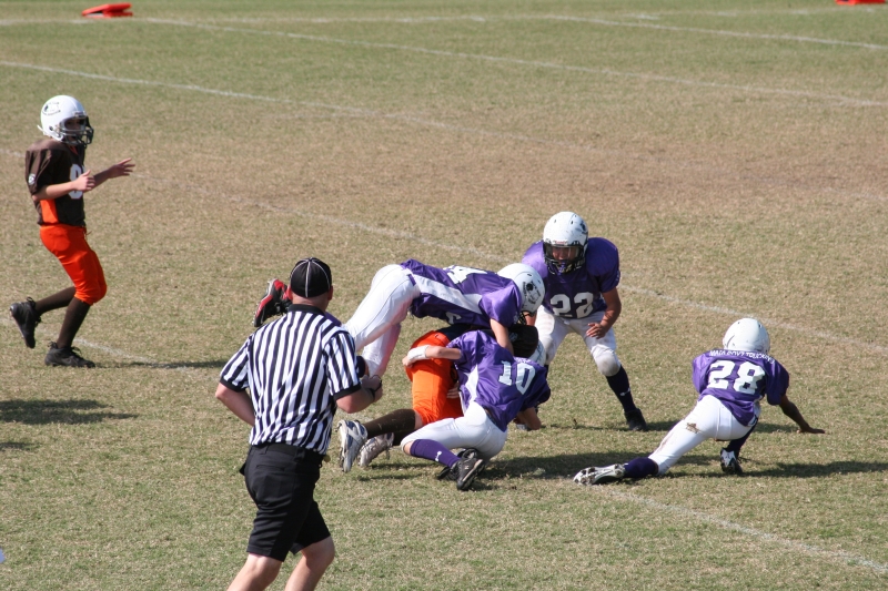 2008 PSLAA Ravens