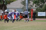 2008 PSLAA Ravens