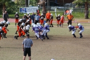 2008 PSLAA Ravens