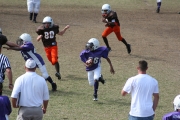 2008 PSLAA Ravens