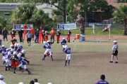 2008 PSLAA Ravens