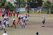 2008 PSLAA Ravens