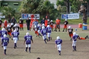 2008 PSLAA Ravens