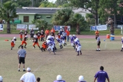 2008 PSLAA Ravens