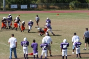 2008 PSLAA Ravens