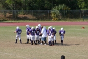 2008 PSLAA Ravens