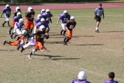 2008 PSLAA Ravens