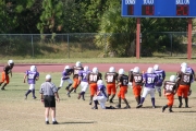 2008 PSLAA Ravens