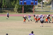 2008 PSLAA Ravens