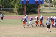 2008 PSLAA Ravens