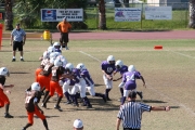 2008 PSLAA Ravens