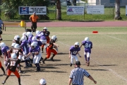 2008 PSLAA Ravens