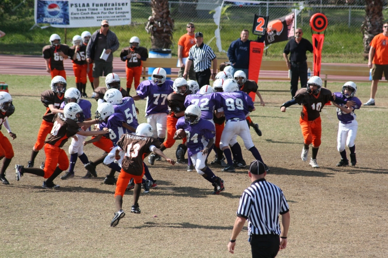 2008 PSLAA Ravens