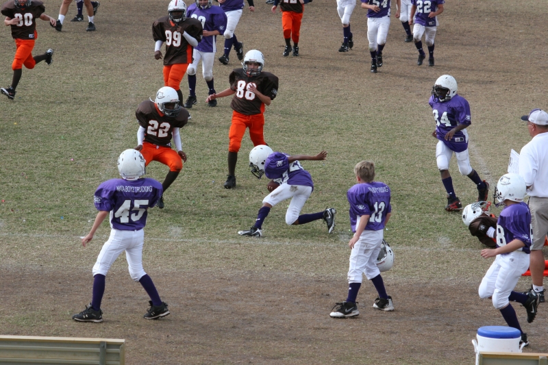 2008 PSLAA Ravens