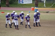 2008 PSLAA Ravens