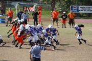 2008 PSLAA Ravens