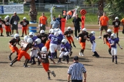 2008 PSLAA Ravens