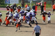 2008 PSLAA Ravens