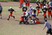 2008 PSLAA Ravens