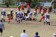 2008 PSLAA Ravens