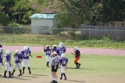 2008 PSLAA Ravens