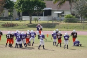 2008 PSLAA Ravens