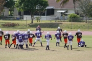 2008 PSLAA Ravens