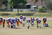 2008 PSLAA Ravens