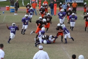 2008 PSLAA Ravens