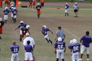 2008 PSLAA Ravens