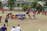 2008 PSLAA Ravens