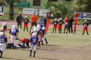 2008 PSLAA Ravens