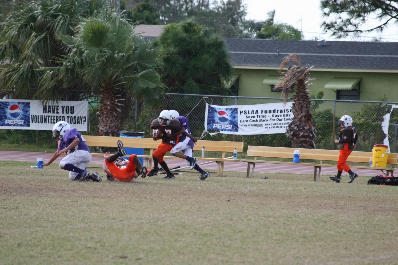 2008 PSLAA Ravens