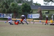 2008 PSLAA Ravens