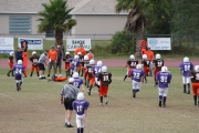 2008 PSLAA Ravens