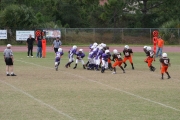 2008 PSLAA Ravens